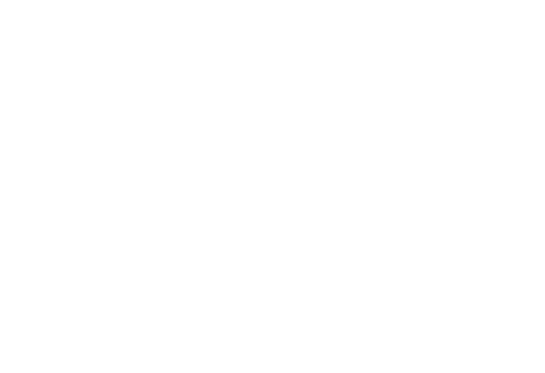 Rizzello Coaching